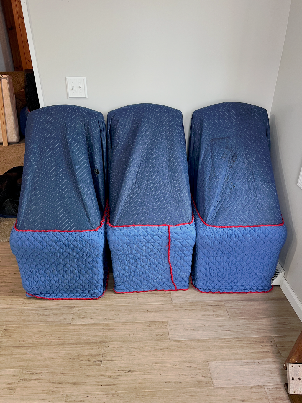 Bulk Variety Set (12-Pack)